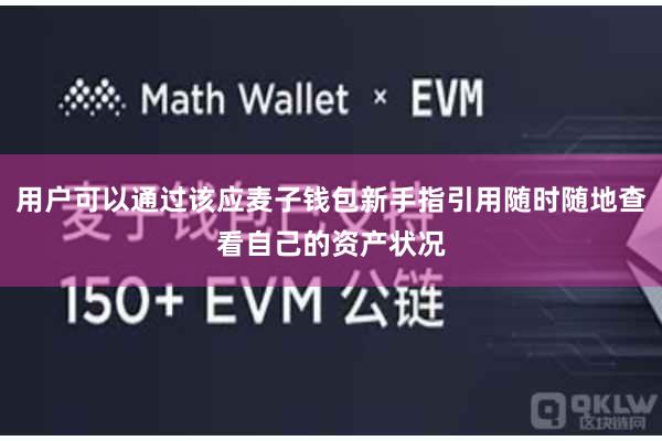 用户可以通过该应麦子钱包新手指引用随时随地查看自己的资产状况
