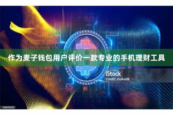 作为麦子钱包用户评价一款专业的手机理财工具