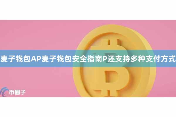 麦子钱包AP麦子钱包安全指南P还支持多种支付方式