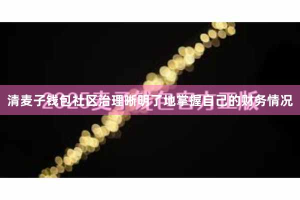 清麦子钱包社区治理晰明了地掌握自己的财务情况