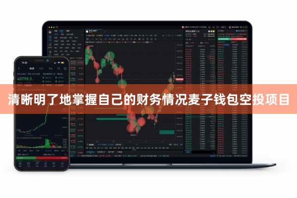 清晰明了地掌握自己的财务情况麦子钱包空投项目