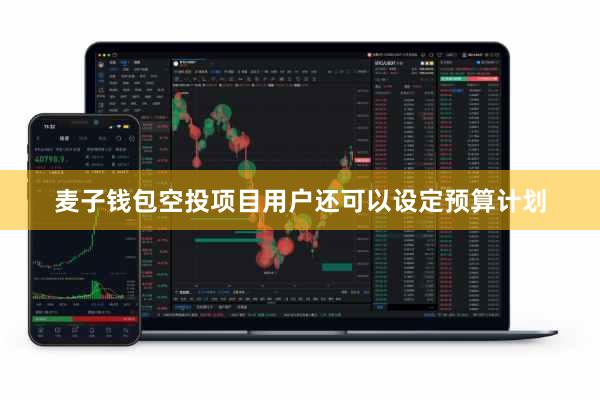 麦子钱包空投项目用户还可以设定预算计划