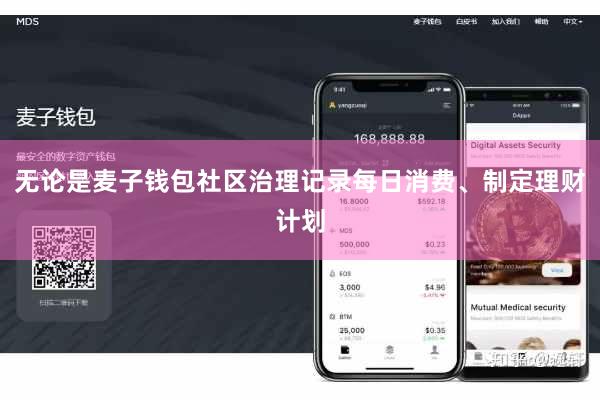 无论是麦子钱包社区治理记录每日消费、制定理财计划