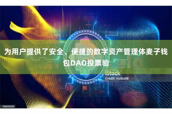 为用户提供了安全、便捷的数字资产管理体麦子钱包DAO投票验