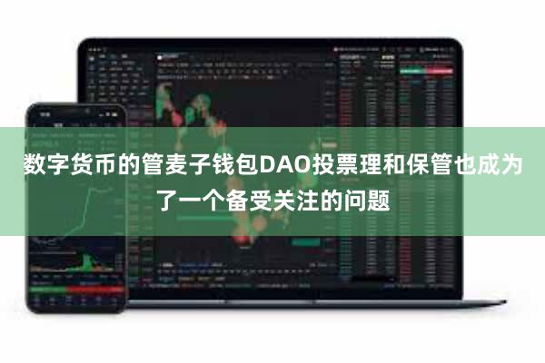数字货币的管麦子钱包DAO投票理和保管也成为了一个备受关注的问题