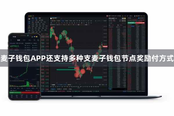 麦子钱包APP还支持多种支麦子钱包节点奖励付方式