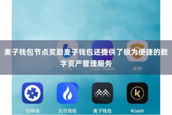 麦子钱包节点奖励麦子钱包还提供了极为便捷的数字资产管理服务