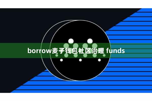 borrow麦子钱包社区治理 funds