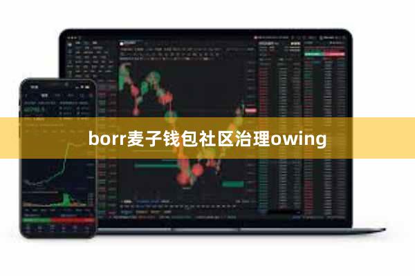 borr麦子钱包社区治理owing