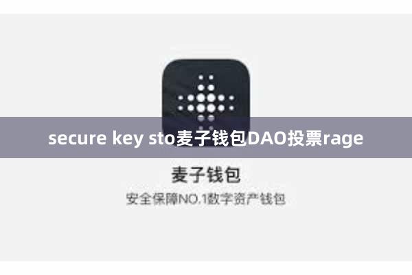 secure key sto麦子钱包DAO投票rage