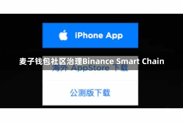 麦子钱包社区治理Binance Smart Chain