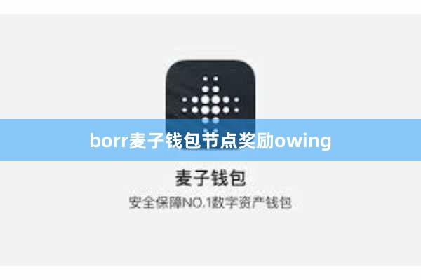 borr麦子钱包节点奖励owing