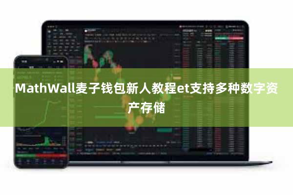 MathWall麦子钱包新人教程et支持多种数字资产存储
