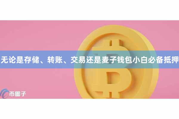 无论是存储、转账、交易还是麦子钱包小白必备抵押