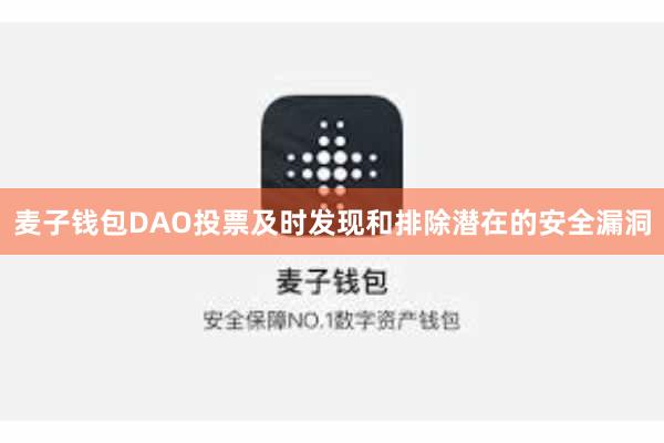 麦子钱包DAO投票及时发现和排除潜在的安全漏洞