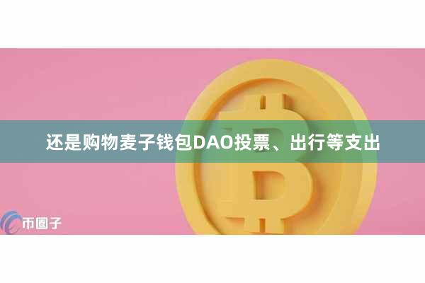 还是购物麦子钱包DAO投票、出行等支出