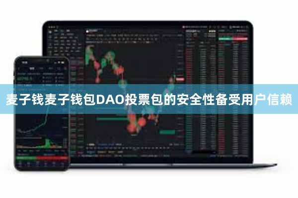 麦子钱麦子钱包DAO投票包的安全性备受用户信赖