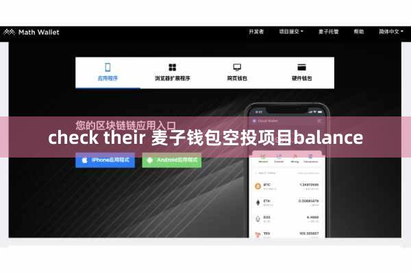 check their 麦子钱包空投项目balance